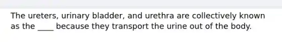 The ureters, <a href='https://www.questionai.com/knowledge/kb9SdfFdD9-urinary-bladder' class='anchor-knowledge'>urinary bladder</a>, and urethra are collectively known as the ____ because they transport the urine out of the body.