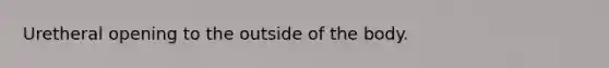 Uretheral opening to the outside of the body.