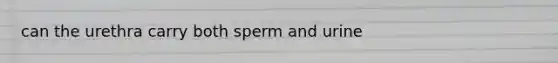 can the urethra carry both sperm and urine