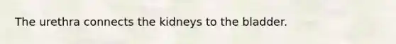 The urethra connects the kidneys to the bladder.