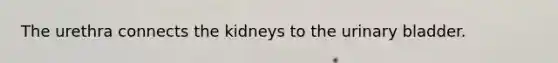 The urethra connects the kidneys to the urinary bladder.