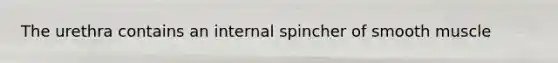 The urethra contains an internal spincher of smooth muscle