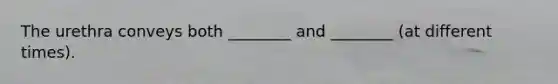 The urethra conveys both ________ and ________ (at different times).