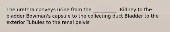 The urethra conveys urine from the __________. Kidney to the bladder Bowman's capsule to the collecting duct Bladder to the exterior Tubules to the renal pelvis