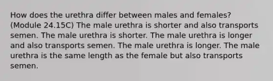 How does the urethra differ between males and females? (Module 24.15C) The male urethra is shorter and also transports semen. The male urethra is shorter. The male urethra is longer and also transports semen. The male urethra is longer. The male urethra is the same length as the female but also transports semen.