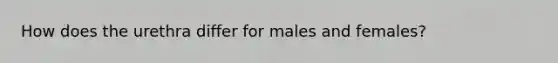 How does the urethra differ for males and females?