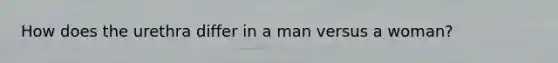 How does the urethra differ in a man versus a woman?