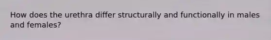 How does the urethra differ structurally and functionally in males and females?