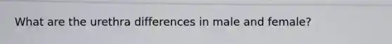 What are the urethra differences in male and female?