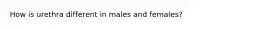 How is urethra different in males and females?