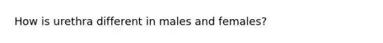 How is urethra different in males and females?