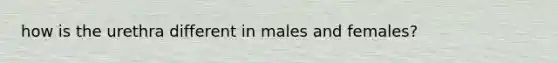 how is the urethra different in males and females?