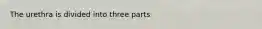 The urethra is divided into three parts