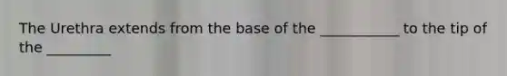 The Urethra extends from the base of the ___________ to the tip of the _________