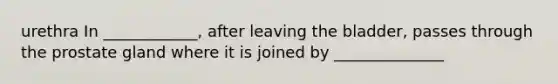 urethra In ____________, after leaving the bladder, passes through the prostate gland where it is joined by ______________