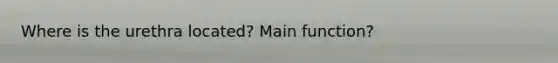 Where is the urethra located? Main function?