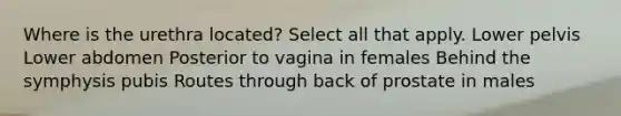 Where is the urethra located? Select all that apply. Lower pelvis Lower abdomen Posterior to vagina in females Behind the symphysis pubis Routes through back of prostate in males