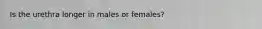 Is the urethra longer in males or females?