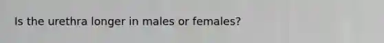 Is the urethra longer in males or females?