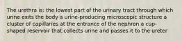 The urethra is: the lowest part of the urinary tract through which urine exits the body a urine-producing microscopic structure a cluster of capillaries at the entrance of the nephron a cup-shaped reservoir that collects urine and passes it to the ureter