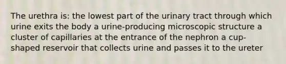 The urethra is: the lowest part of the urinary tract through which urine exits the body a urine-producing microscopic structure a cluster of capillaries at the entrance of the nephron a cup-shaped reservoir that collects urine and passes it to the ureter