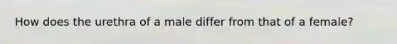 How does the urethra of a male differ from that of a female?