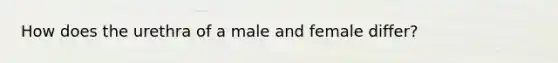 How does the urethra of a male and female differ?