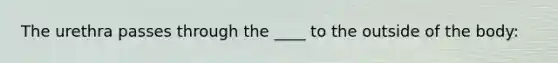 The urethra passes through the ____ to the outside of the body: