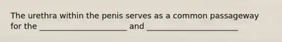 The urethra within the penis serves as a common passageway for the ______________________ and _______________________