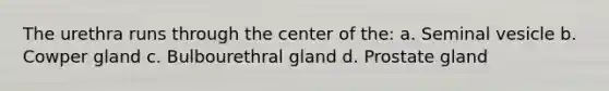 The urethra runs through the center of the: a. Seminal vesicle b. Cowper gland c. Bulbourethral gland d. Prostate gland