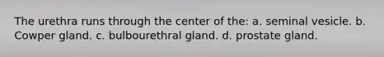 The urethra runs through the center of the: a. seminal vesicle. b. Cowper gland. c. bulbourethral gland. d. prostate gland.