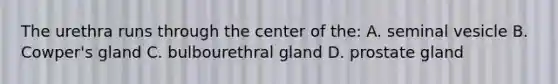 The urethra runs through the center of the: A. seminal vesicle B. Cowper's gland C. bulbourethral gland D. prostate gland