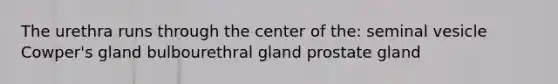 The urethra runs through the center of the: seminal vesicle Cowper's gland bulbourethral gland prostate gland