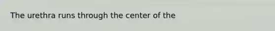 The urethra runs through the center of the