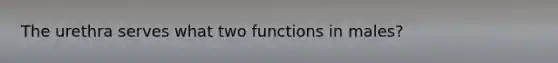 The urethra serves what two functions in males?