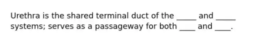 Urethra is the shared terminal duct of the _____ and _____ systems; serves as a passageway for both ____ and ____.
