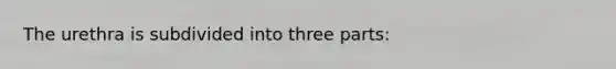 The urethra is subdivided into three parts: