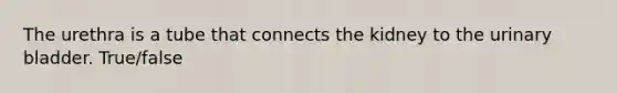 The urethra is a tube that connects the kidney to the urinary bladder. True/false
