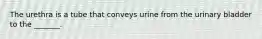 The urethra is a tube that conveys urine from the urinary bladder to the _______.