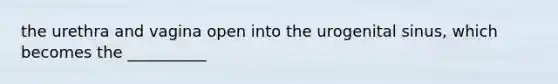 the urethra and vagina open into the urogenital sinus, which becomes the __________