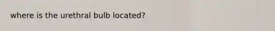 where is the urethral bulb located?