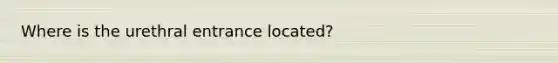 Where is the urethral entrance located?