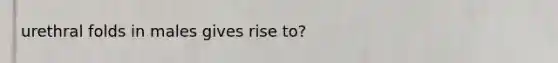 urethral folds in males gives rise to?