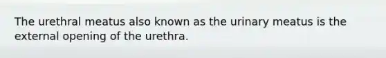 The urethral meatus also known as the urinary meatus is the external opening of the urethra.