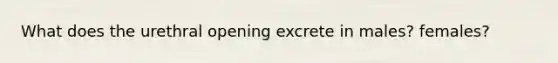 What does the urethral opening excrete in males? females?