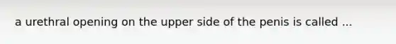 a urethral opening on the upper side of the penis is called ...