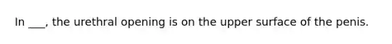 In ___, the urethral opening is on the upper surface of the penis.