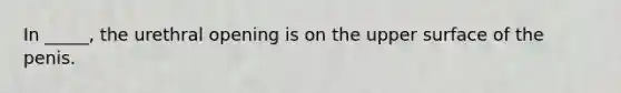 In _____, the urethral opening is on the upper surface of the penis.