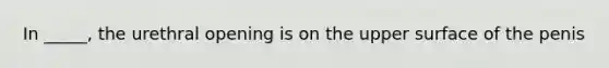 In _____, the urethral opening is on the upper surface of the penis