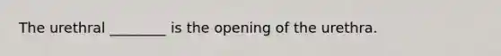 The urethral ________ is the opening of the urethra.